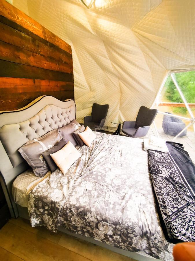 Apuseni Glamping Retreat Hotel Bucium  Екстериор снимка